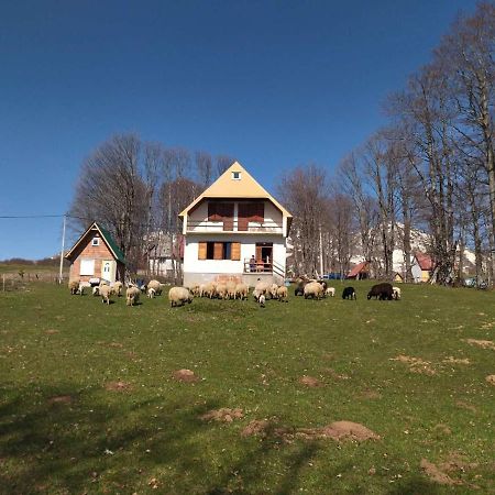 Kolibri Villa Zabljak  Luaran gambar