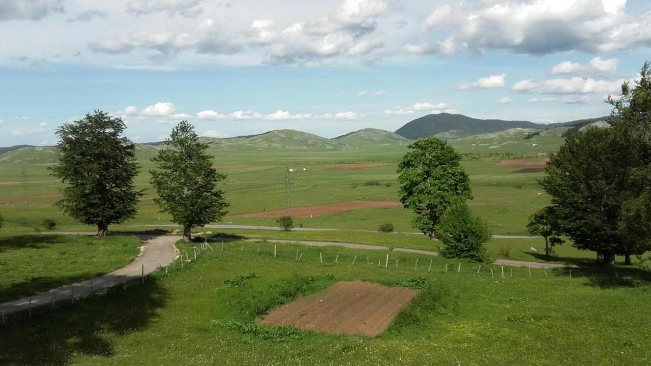 Kolibri Villa Zabljak  Luaran gambar
