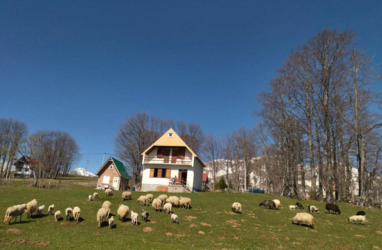 Kolibri Villa Zabljak  Luaran gambar