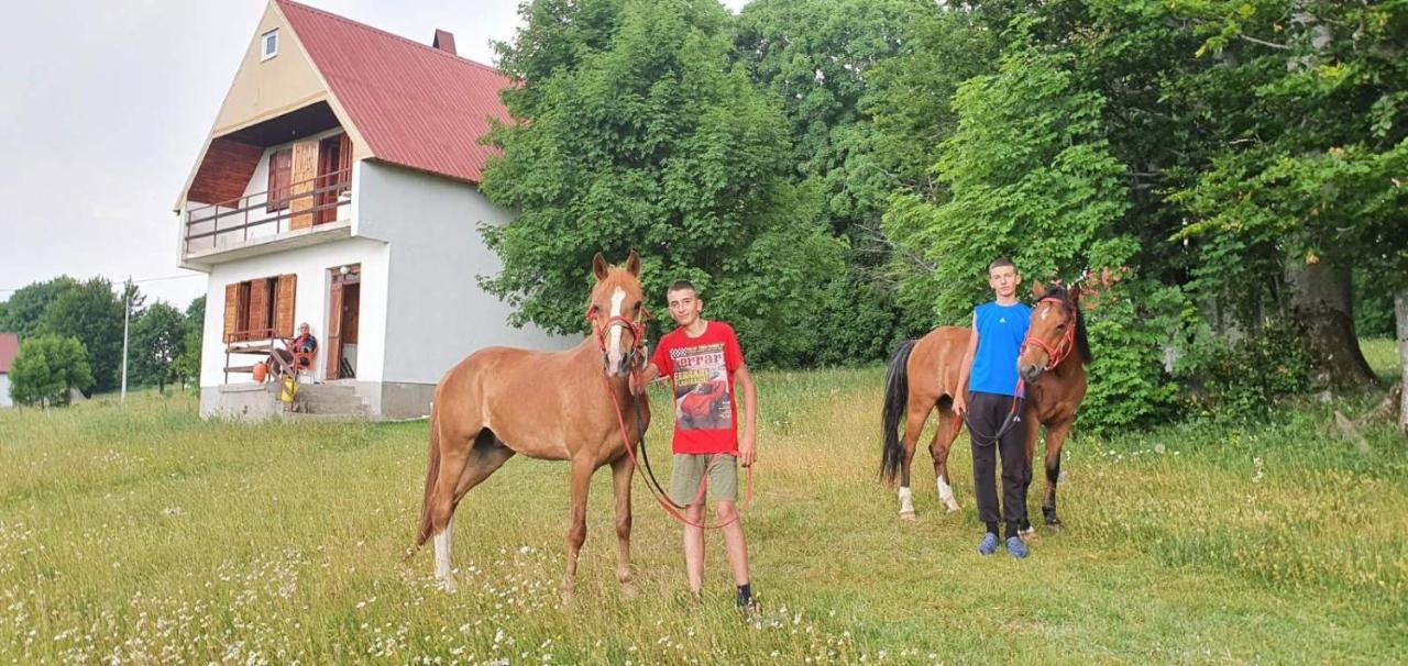 Kolibri Villa Zabljak  Luaran gambar